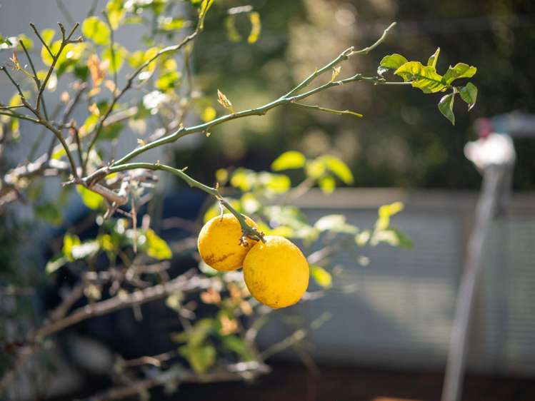 Address withheld Russell_16