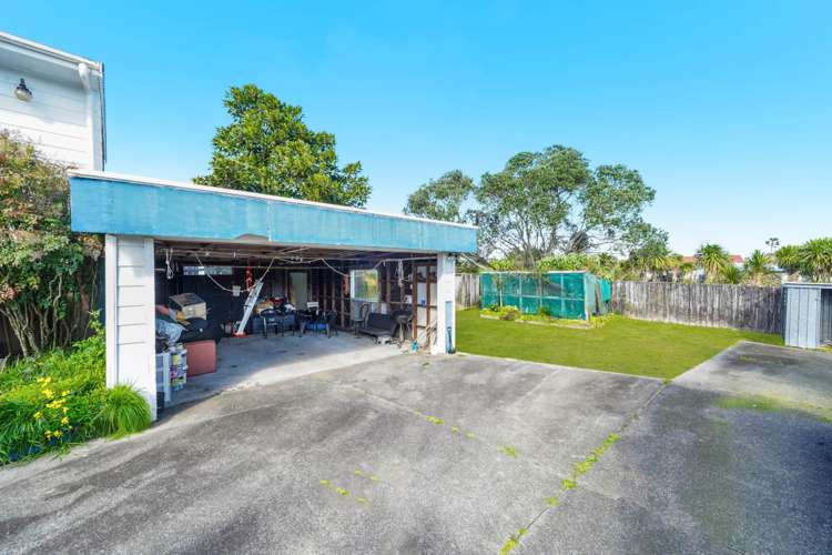 2 Triton Avenue Mount Albert_20