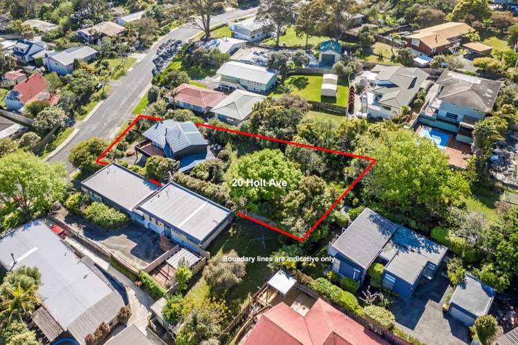 20 Holt Avenue Torbay_22