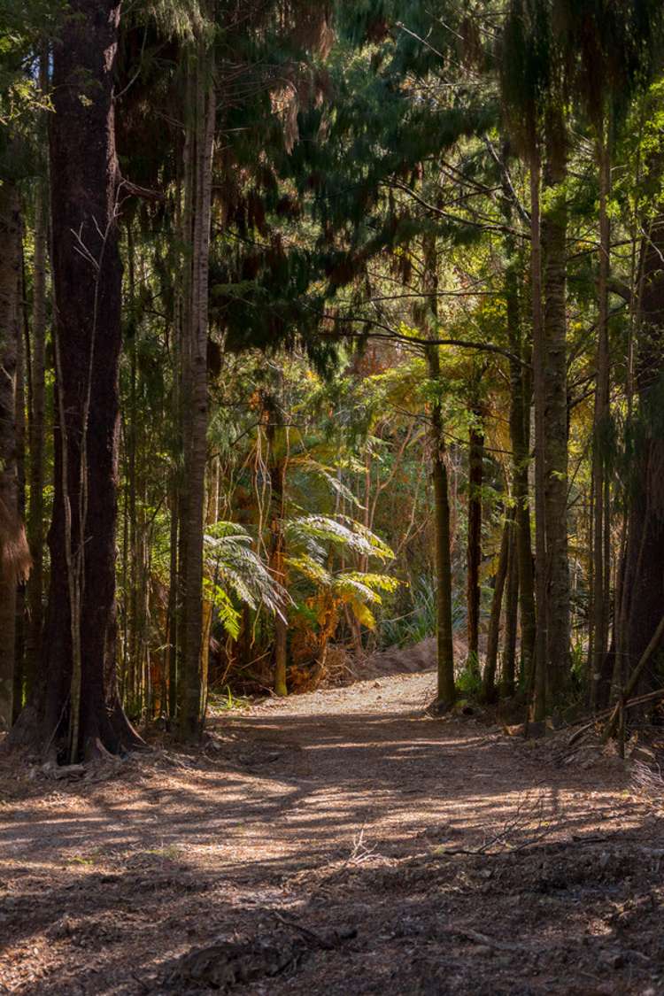 419b Katherine Mansfield Drive Blue Mountains_14