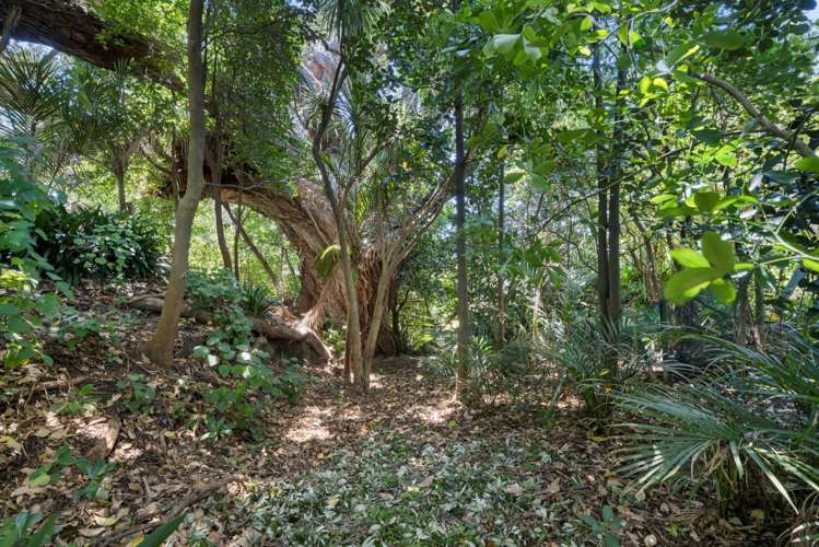 868 Cove Road, Waipu Cove_28