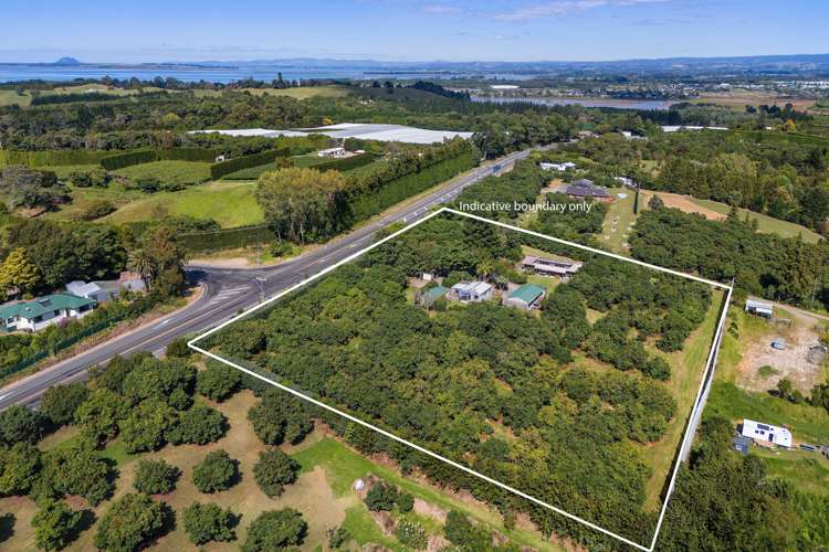 463 State Highway 2 Katikati_2