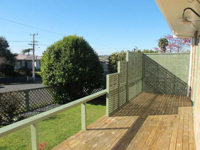 1/548 Mandeno Street Te Awamutu_3