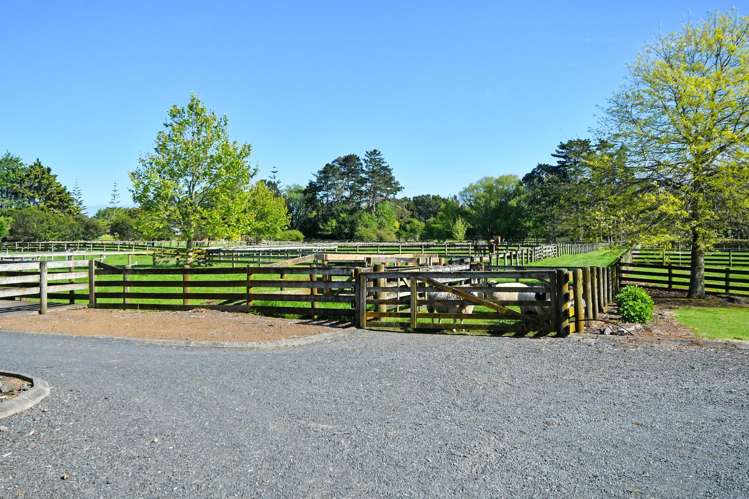 58 Ellett Road Karaka_5
