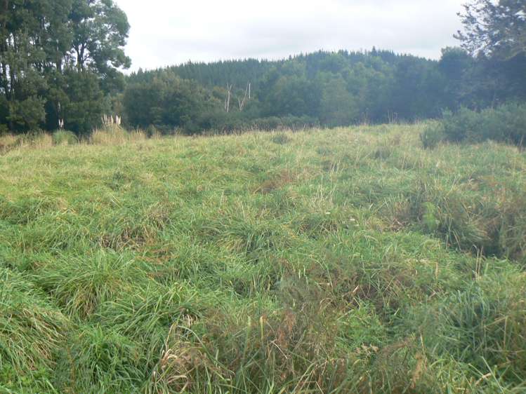 6084 Mangakahia Road Kaikohe Surrounds_0