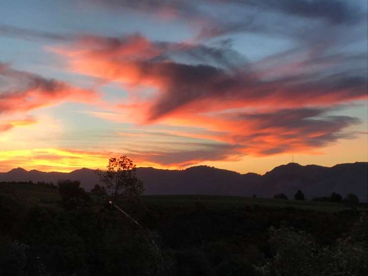 29 Te Papau Crescent Diamond Harbour_16