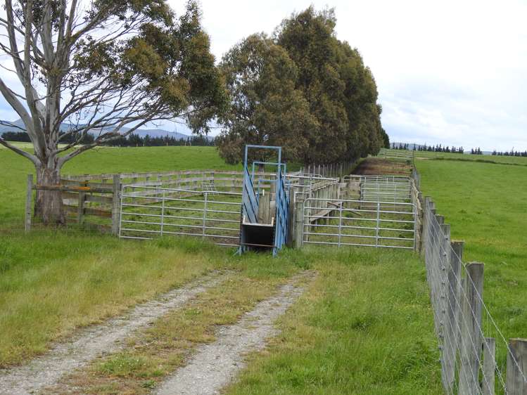 162 Longridge Village Road Gore Surrounds_7