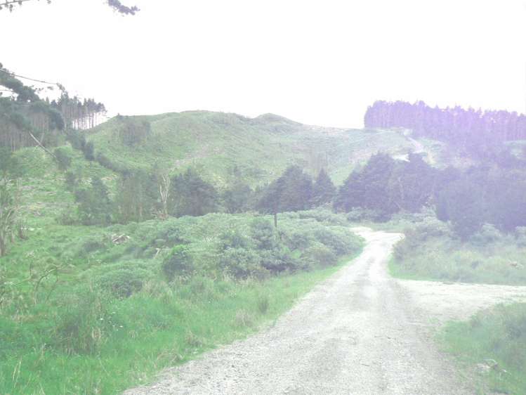 Lot 65 Stoney Creek Road Mangamuka_13