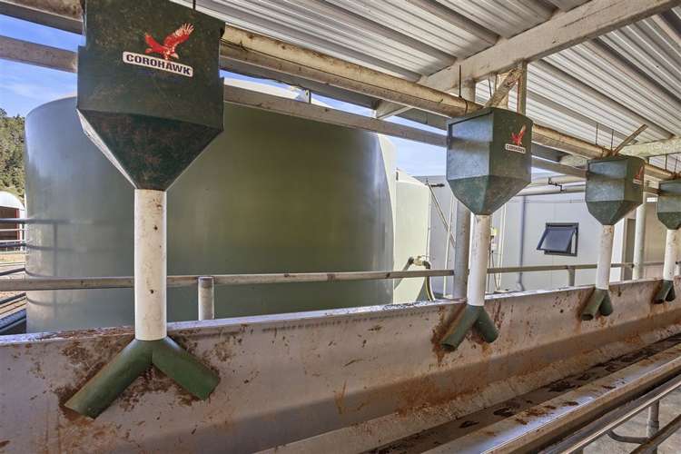 57 Hall Road Hikuai_7