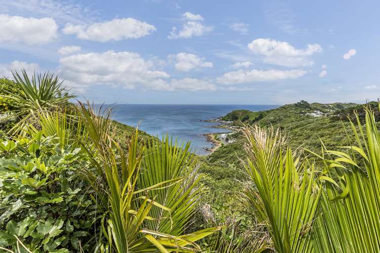 79 Beacon Hill Road Strathmore Park_29