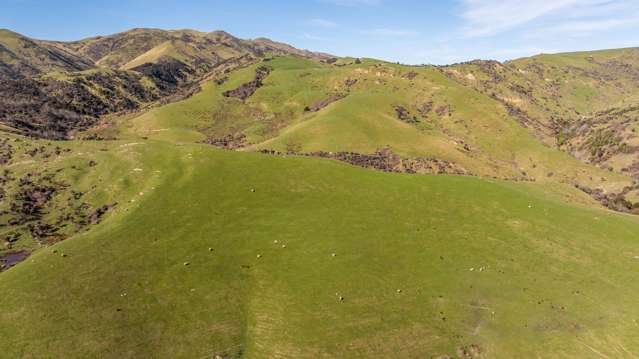 1246 Leader Road West Waiau_2