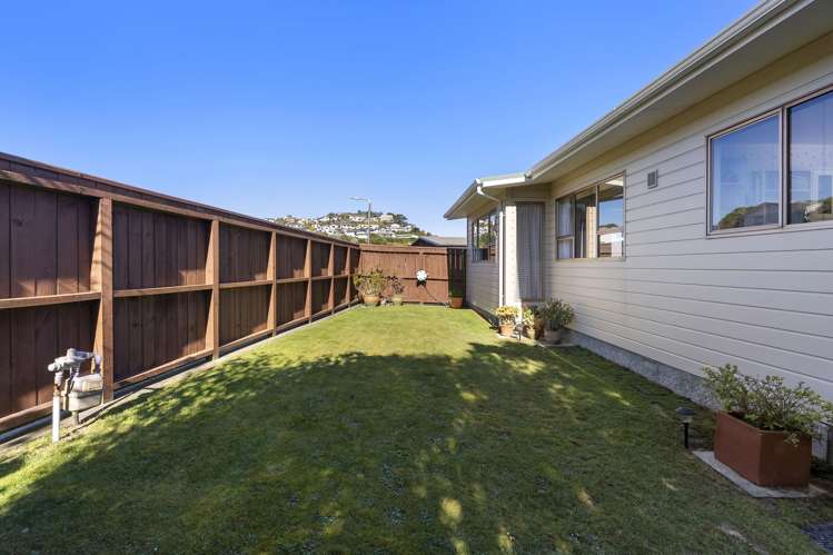 53 Fitzpatrick Street Newlands_14