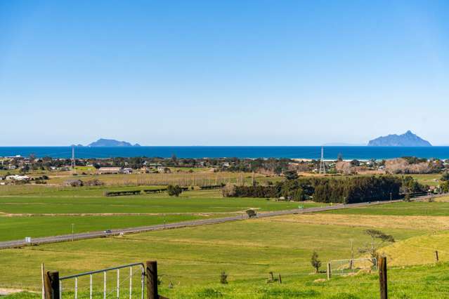 67 Heatherlea Drive Ruakaka_4