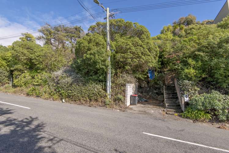 66 Mount Pleasant Road Mount Pleasant_10