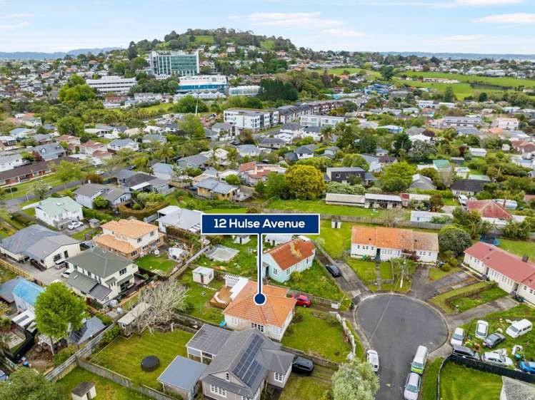 12 Hulse Avenue Sandringham_17