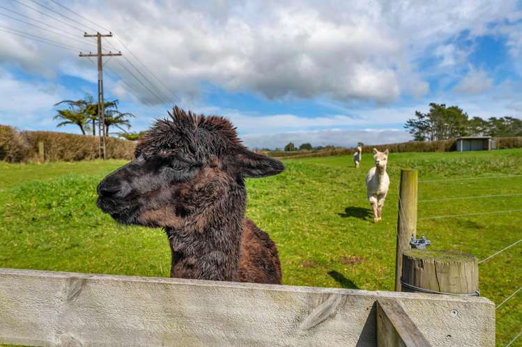 376 Monmouth Road Stratford_10