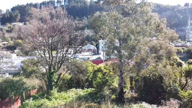 21 Currie Street Port Chalmers_2