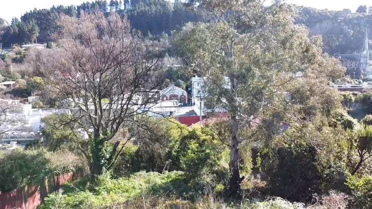 21 Currie Street Port Chalmers_2