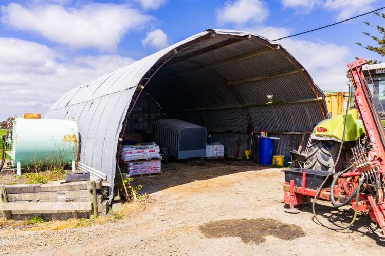 Mangakahia Road Titoki_24