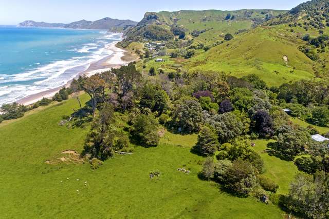 Waihau Station - 618 Waihau Road Tolaga Bay_4