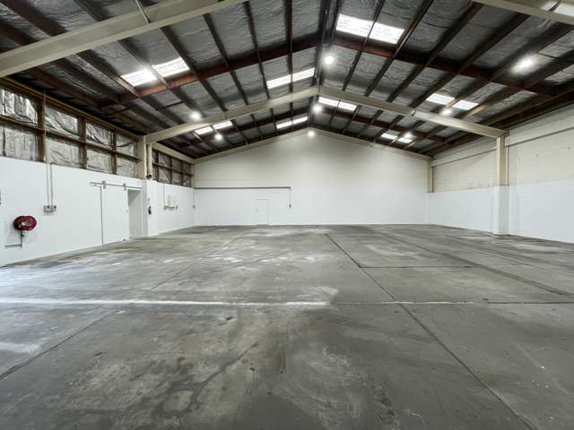 31 Carnegie Road Onekawa_3