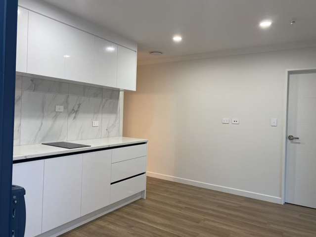 2 beds 1 bath 1 kitchen granny flat in Flat Bush