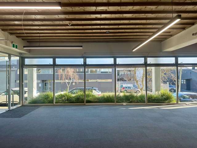 17 Maidstone Street Grey Lynn_2