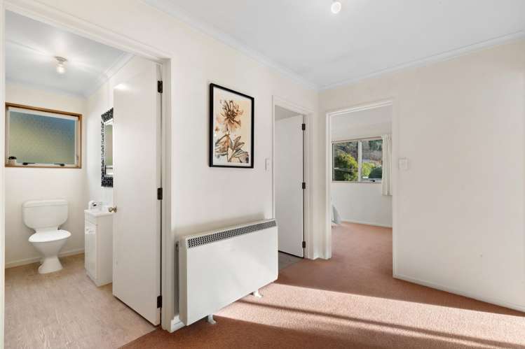 32 Copper Beech Avenue Frankton_14