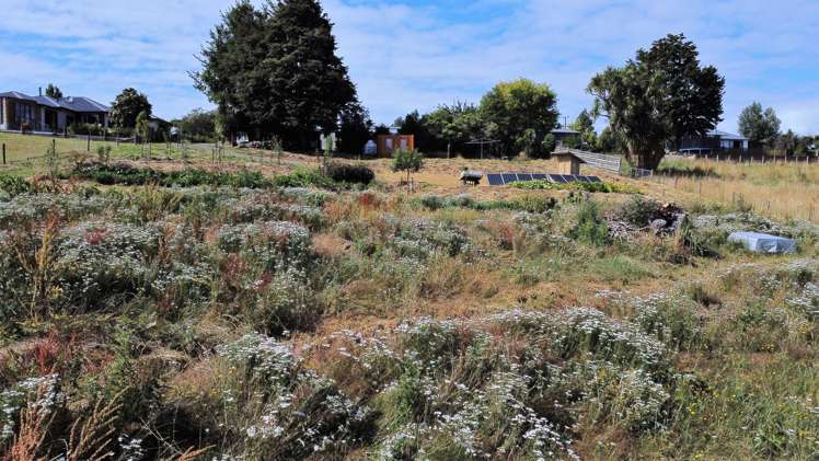 54 Knutsford Road Otautau_8