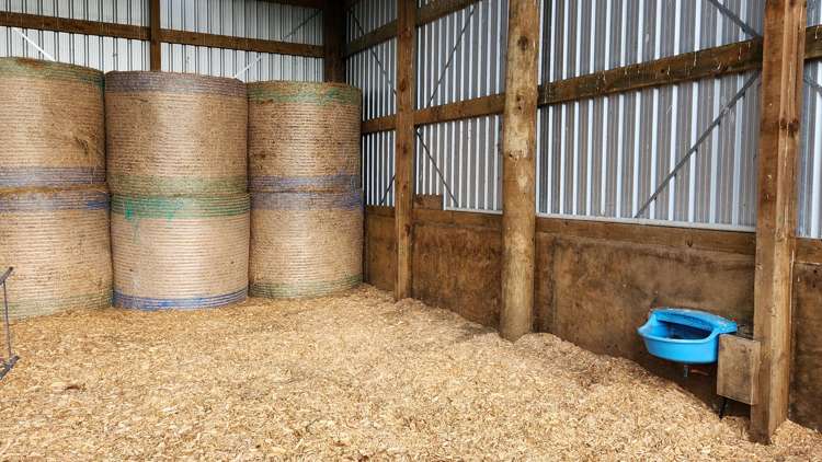 348 Ratapiko Road Ratapiko_8