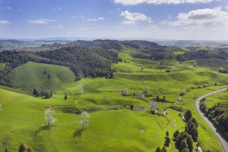 2140 State Highway 4 Aria_21