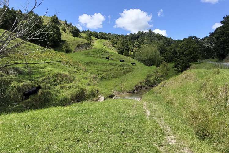 632 Marlow Road Maromaku_22