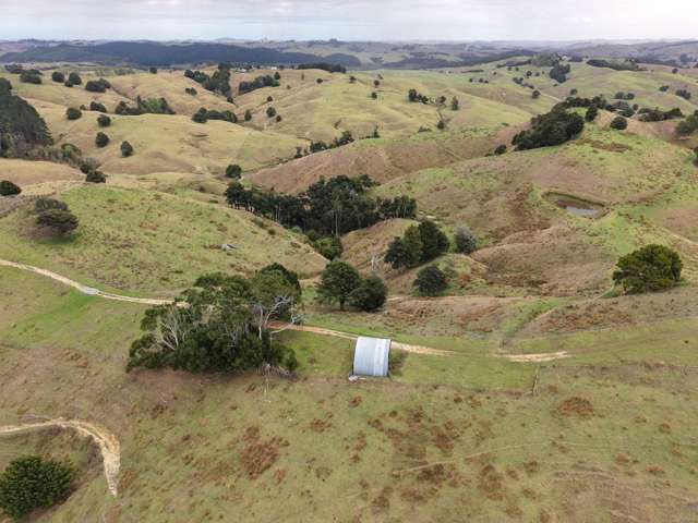 290 Hillcrest Road Waiotira_1