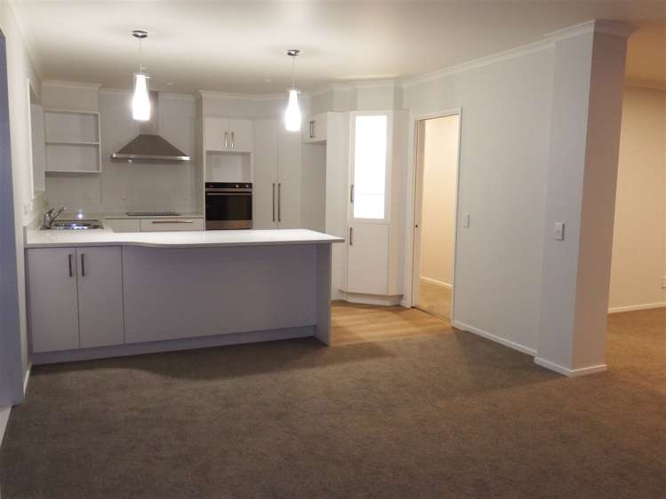 18 Alpine View Lane Parklands_6