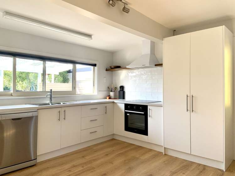  40 Browning Street Sydenham_3