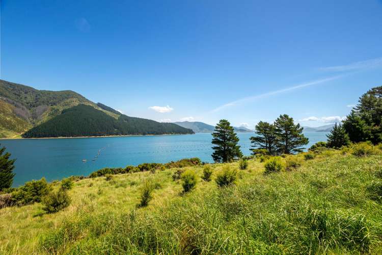 Block 11 Clova Bay Road Marlborough Sounds_4