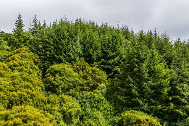 226 Middle Road Pigeon Bay_3