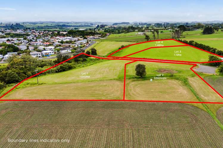 17 Ranfurly Street Waitara_15