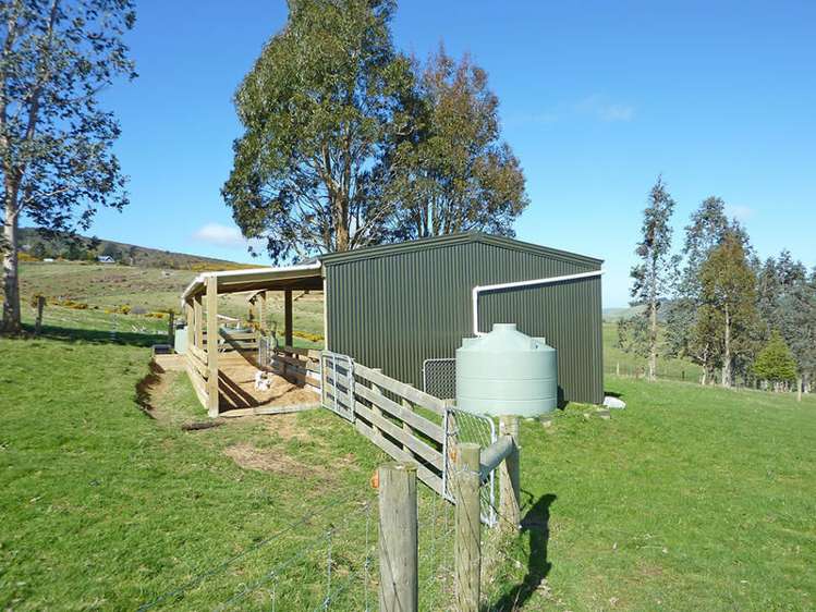 58 Cowan Road Pine Hill_6