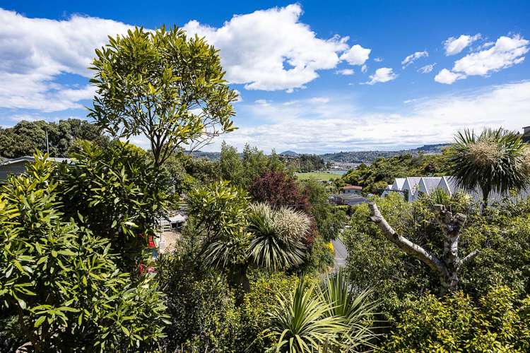 23 Woodside Terrace Andersons Bay_18