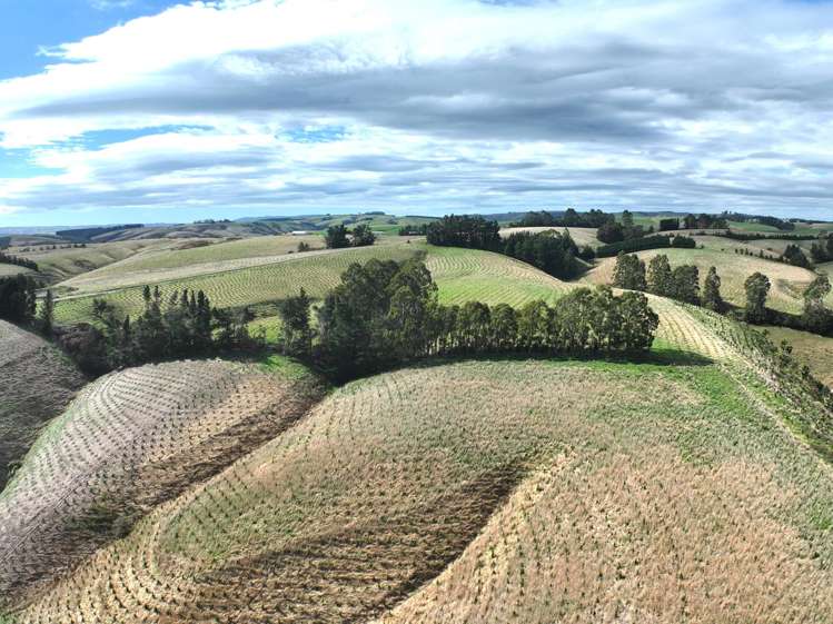 174 McCulloch Road Awamangu_23