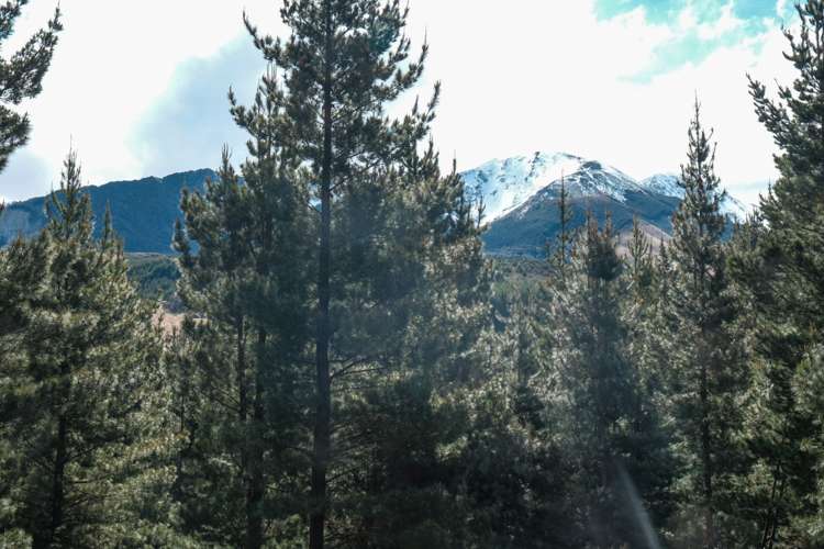 74 Mount Lyford Forest Drive Lyford_19