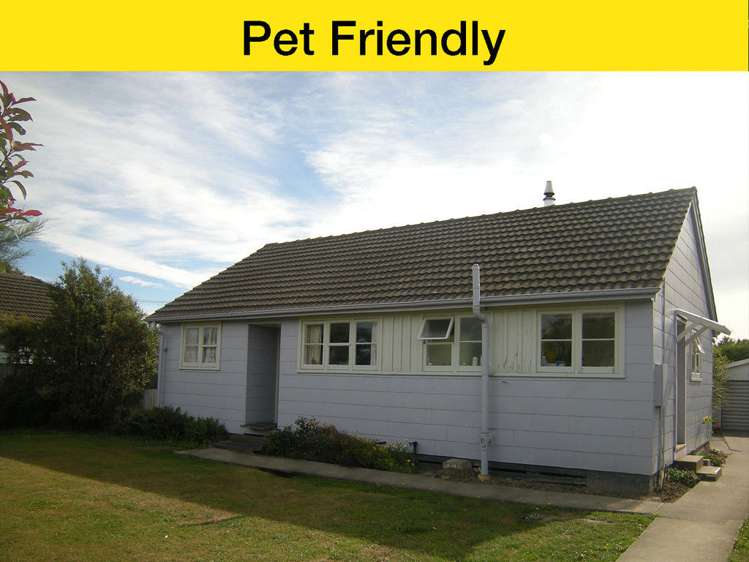 7 May Street Leeston_0