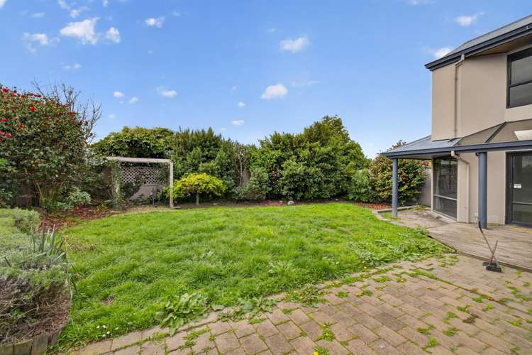 55 Lowry Avenue Redwood_26