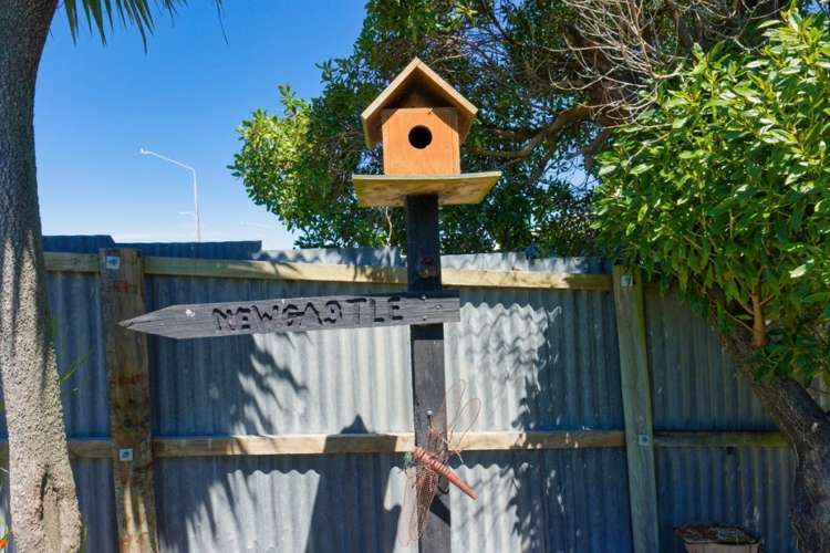 91 Beach Road Kaikoura_31