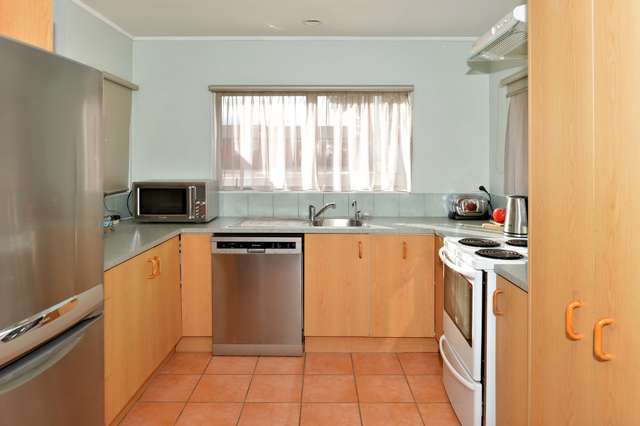 22a Nixon Street Hamilton East_3