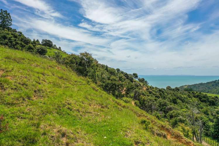 60 Waiomu Valley Road Waiomu_11
