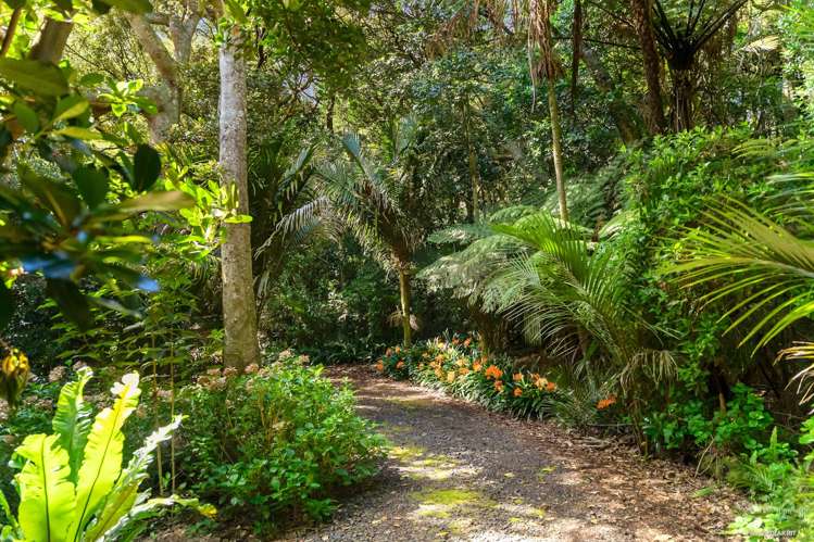 399 Bothwell Park Road Waiuku_4