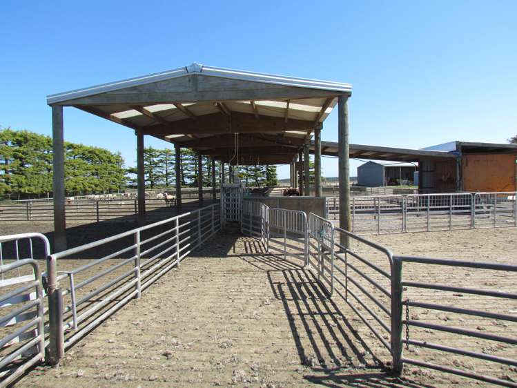 362 Fairfield Road Newland_22