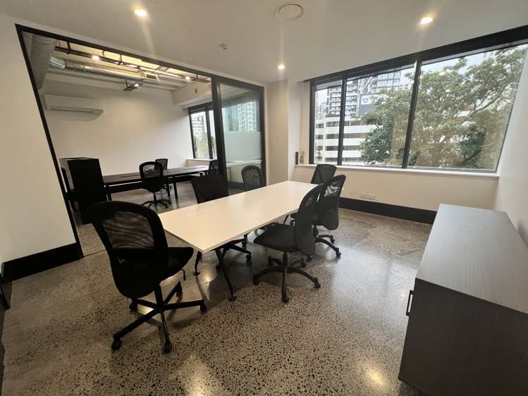 48 Greys Ave Auckland Cbd_2